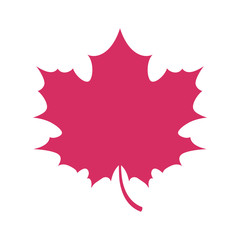 Simple flat maple leaf symbol logo fall autumn design.
