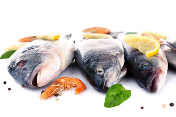 Fresh fishes and shrimps with spices  isolated on white