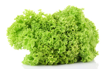 Bunch of green lettuce isolated on white