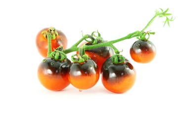 tomato indigo rose black tomato 