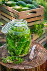 Preparation for canned cucumber in summer