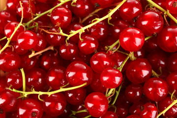 Ripe red currant background