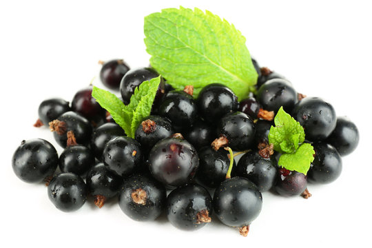 Ripe black currant isolated on white