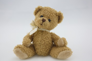 Plüsch -  Teddybär