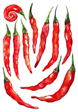 Watercolor Chili Chilli Pepper Isolated Set