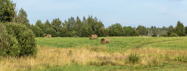 Fototapeta na wymiar Field with hay rolls