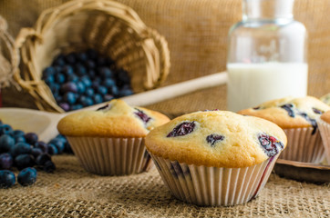 Blueberry muffins