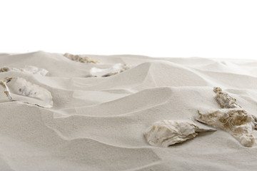 Fototapeta na wymiar Seashells on sea sand isolated on white