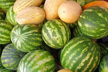 big sweet green watermelons