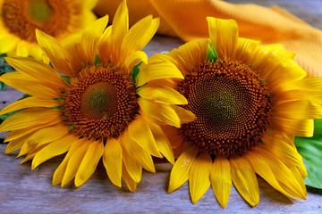 Beautiful bright sunflowers on wooden table close up