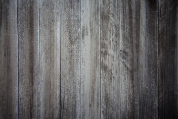 Obraz premium wood wall