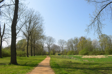small path in green grass field