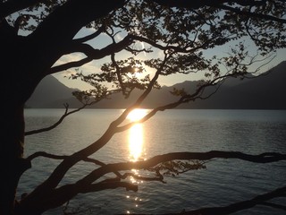 Schönheit der Natur