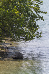 Fototapeta na wymiar landscape lake