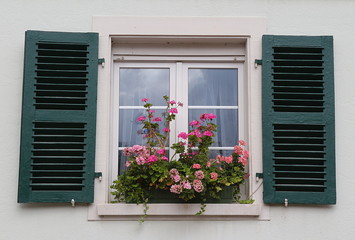 Fenster mit grünen Fensterladen und Blumenkasten, Geranien