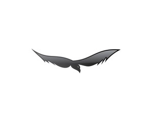 Seagull Logo