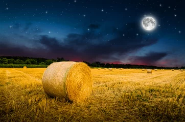 Fotobehang hay bales in the night. Elements of this image furnished by NASA. © klagyivik