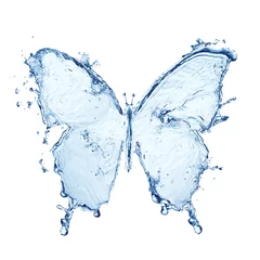 Crédence de cuisine en verre imprimé Papillon butterfly