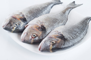 fresh and clean fish on white plate