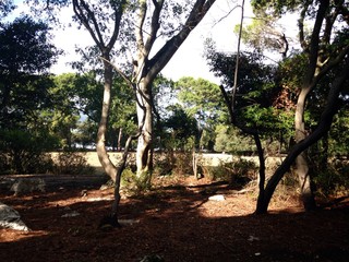 parco