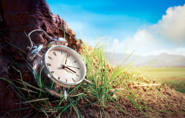 Alarm clock on grass / time concept