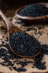 Black Lentils