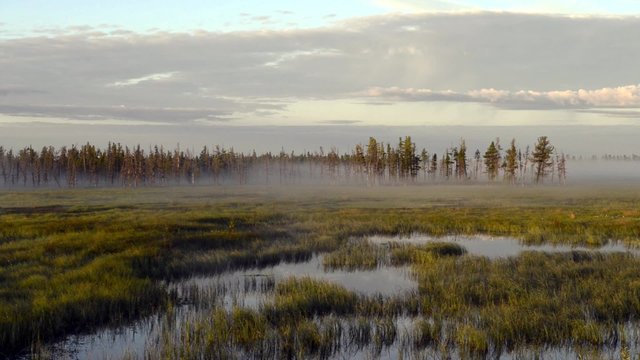 zooming video mist at sunrise over the marsh in the Siberian taiga, the Yamal Peninsula