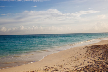Beautiful Beach Shore