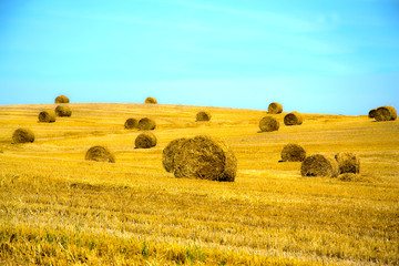 Field after Harvest Straw.