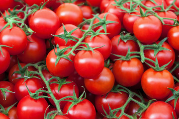 Group of tomatoes