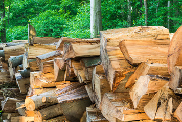 pile of wood trunks stored in a forest