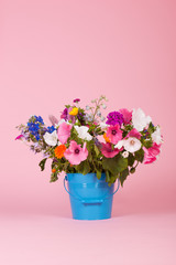 Colorful garden flowers in bucket