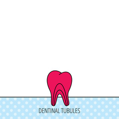 Dentinal tubules icon. Tooth medicine sign.