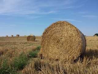 gem&auml;htes Kornfeld mit Strohballen, blauem Himmel und Sonnenschein