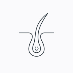 Trichology skin icon. Dermatology hair sign.