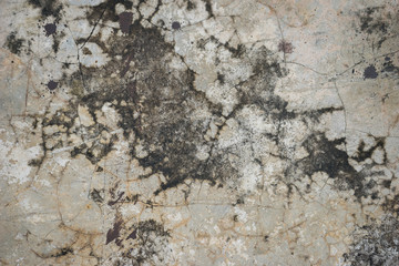 Background old cement floor 1