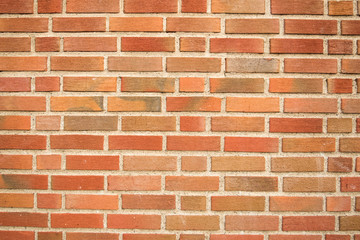Fototapeta premium Brisk wall with great textures