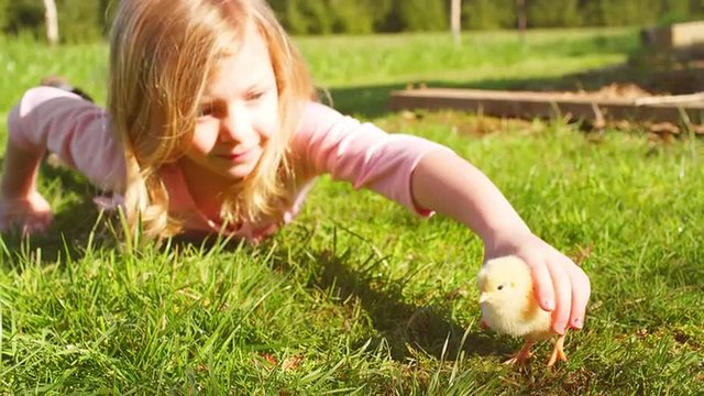 Young girl laying in the grass playing with a baby chick
