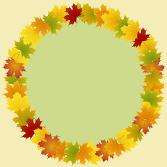 frame of maple leaves round