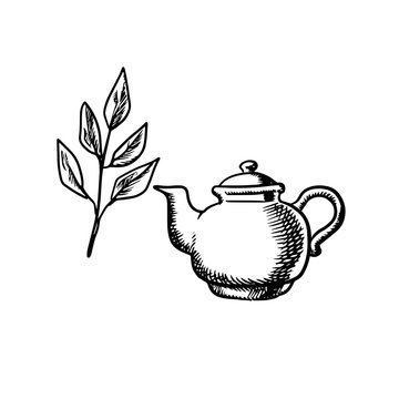 Ceramic teapot with tea leaves