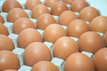 Egg, Chicken Egg 2