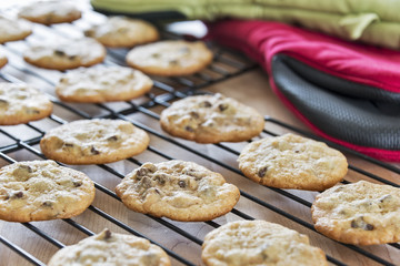 Freshly baked warm chocolate chip cookies placed on wire racks to cool