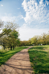 Quiet trail in Forest Park