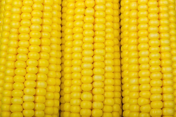 yellow corn background