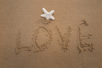 Love and sea star on the sand