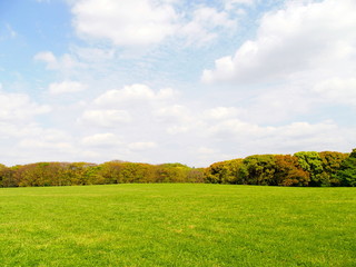 春の草原風景