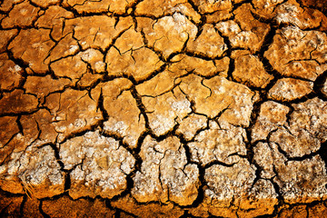 Land with dry and cracked ground.