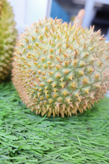 image of close up of durian thailand