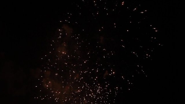 Firework  pyrotechnic show