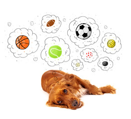 Cute dog with balls in thought bubbles